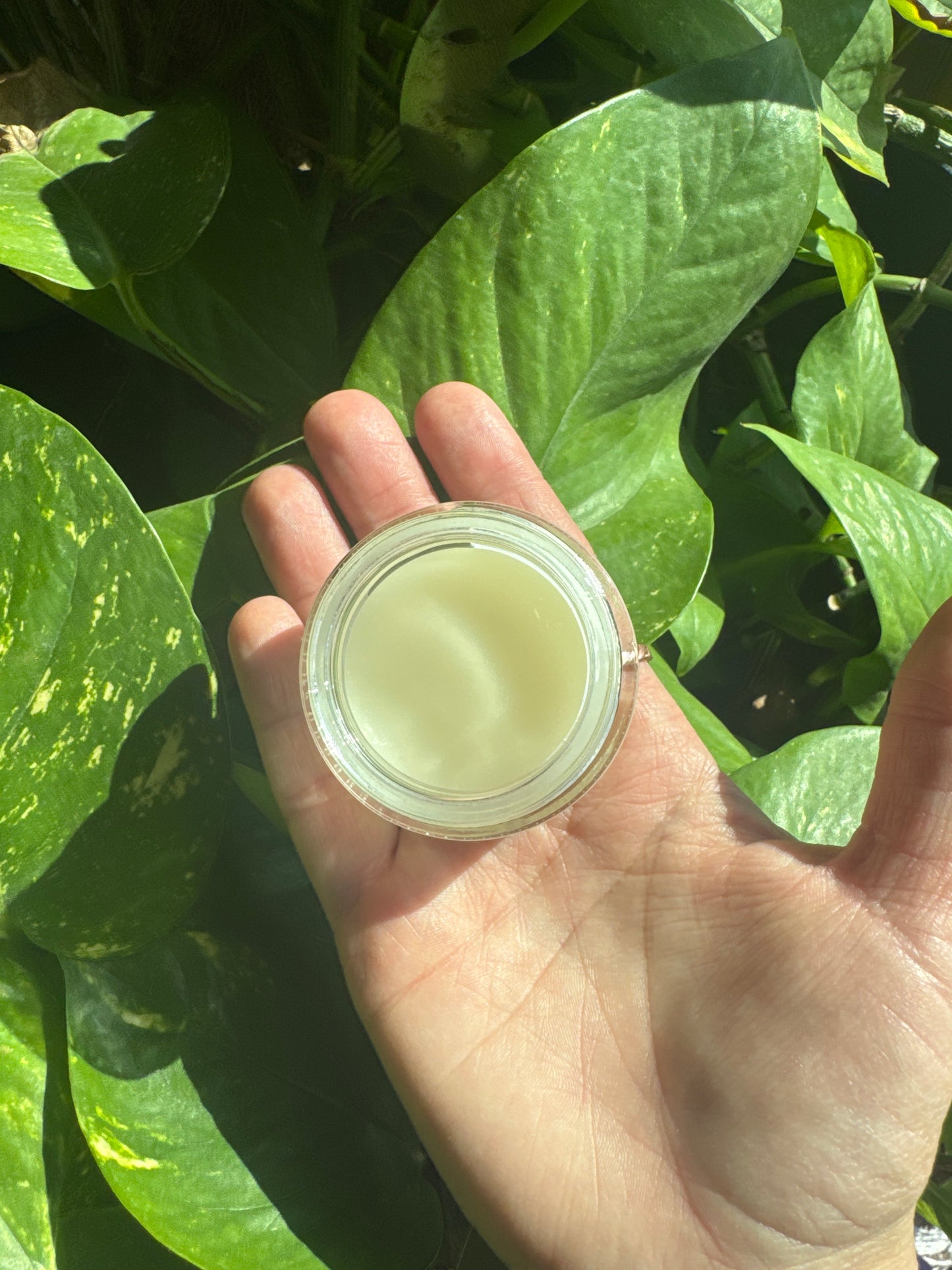 Radiance & Renewal Elixir