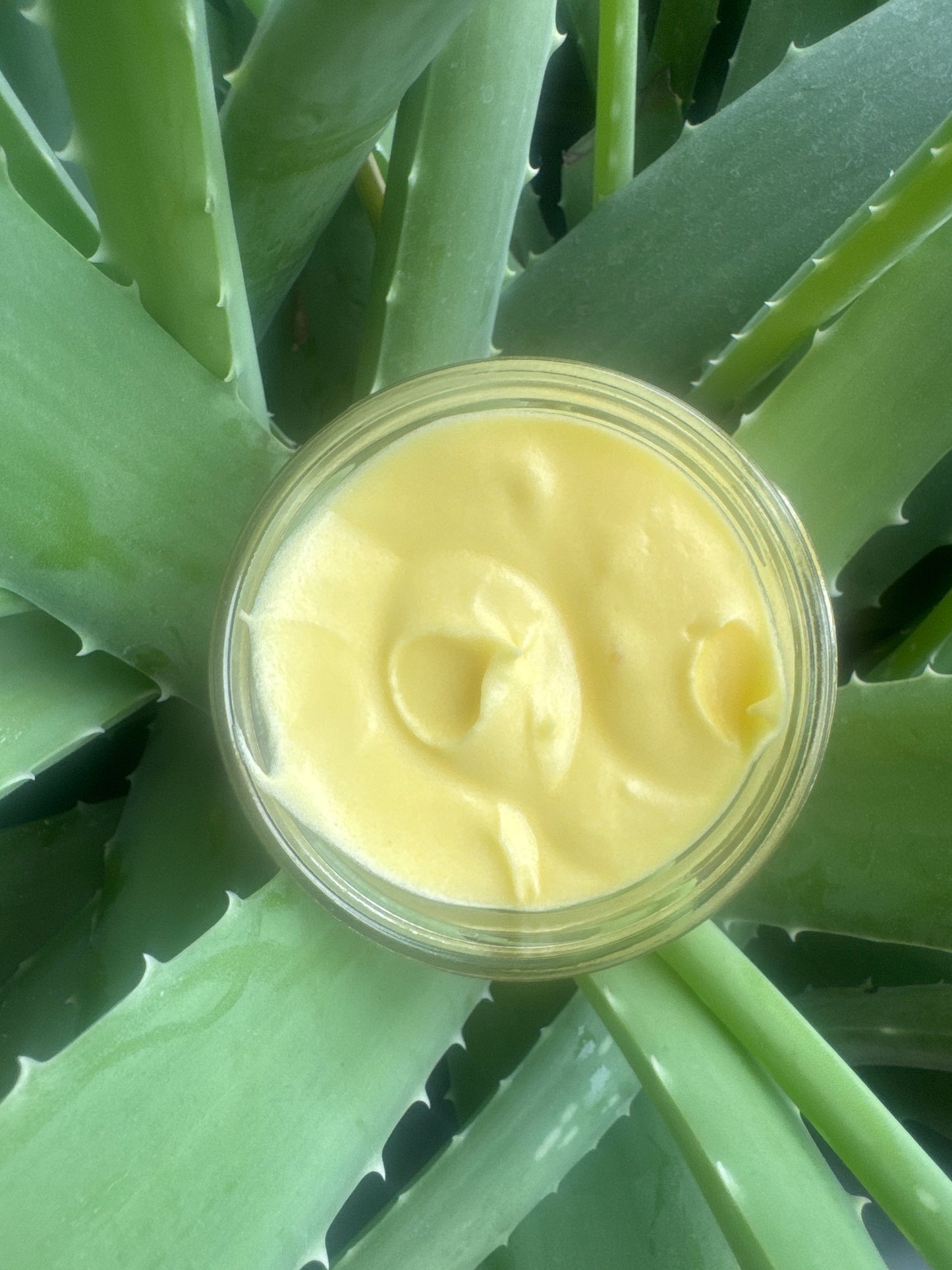 Golden Goose Whipped Tallow