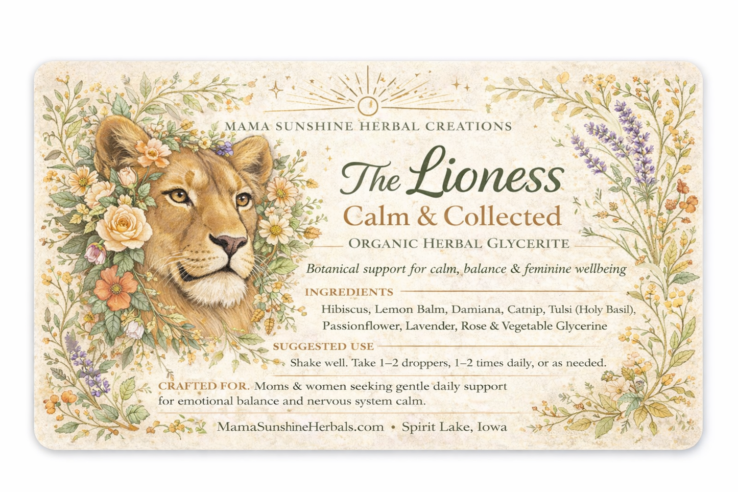 The Lioness: Calm & Collected