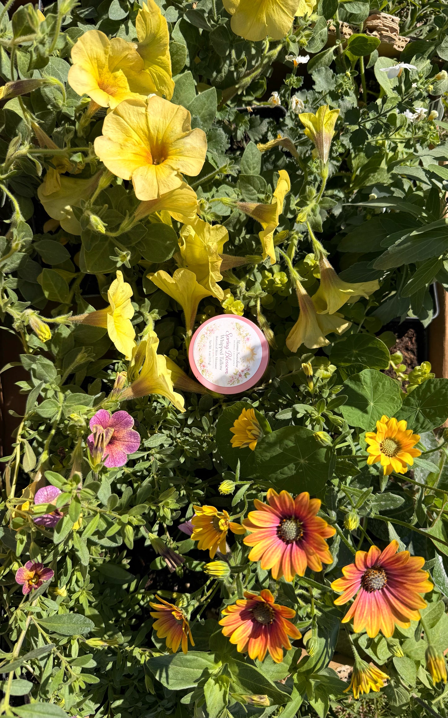 Spring Blossom Whipped Tallow